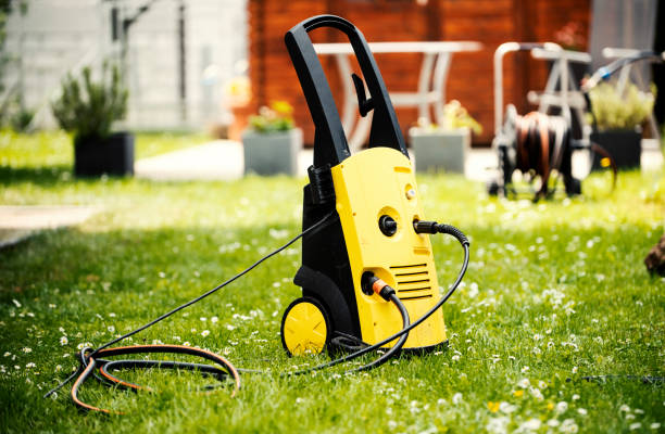 Animal Enclosure Cleaning in Bridgeport, NY